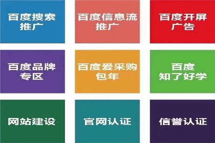 专业SEM代运营托管公司案例分析